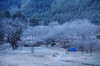 佐見キャンプ場の霧氷