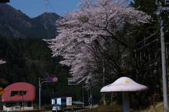 国道41号七曲橋