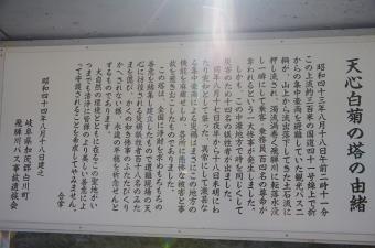 天心白菊の塔の由緒