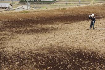 木材チップを元肥えに