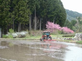 田植え前の大切な作業