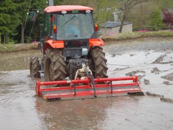 代掻きのエキスパート