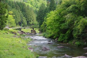 新緑の佐見川峡