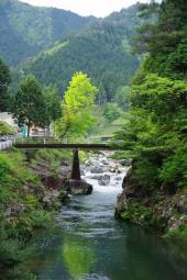新緑の佐見川峡