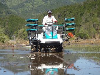 昨年と同じ田植えのプロです。