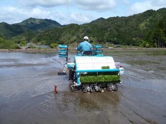 絶好の天気です。