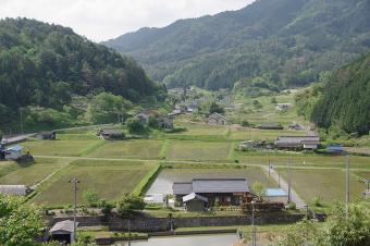 山間の水田
