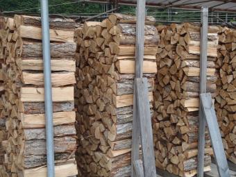 乾燥されたナラ