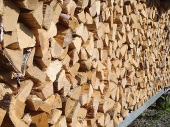 乾燥させた 広葉樹