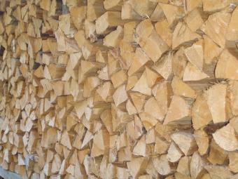 乾燥された 針葉樹