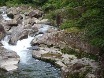 岩ツツジ（佐見川）