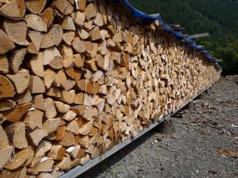 乾燥された 広葉樹