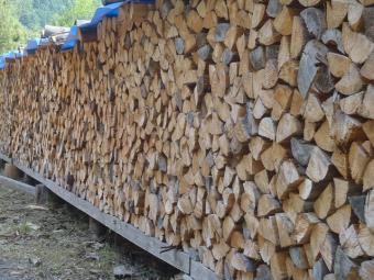 乾燥された 針葉樹