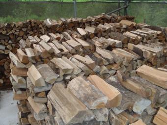 乾燥中の広葉樹