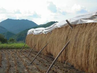 美味しくなるように