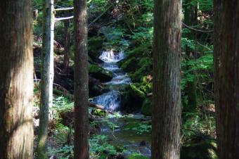 尾城山山頂1(佐見川上流)