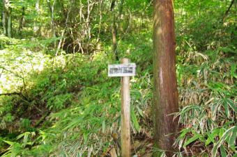尾城山山頂2(佐見川源流)