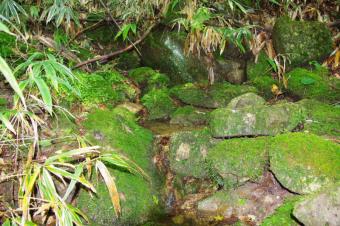 尾城山山頂3(佐見川源流)