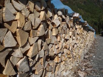 乾燥された 広葉樹