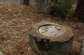 初冬、朝の初氷