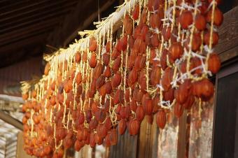 見事な干し柿です