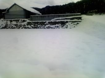 40cm位 積りました