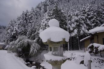津島神社の石灯篭