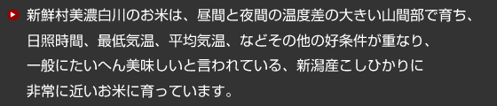 新鮮村美濃白川のお米は、昼間と夜間の温度差の大きい山間部で育ち、日照時間、最低気温、平均気温、などその他の好条件が重なり、一般にたいへん美味しいと言われている、新潟産こしひかりに非常に近いお米に育っています。